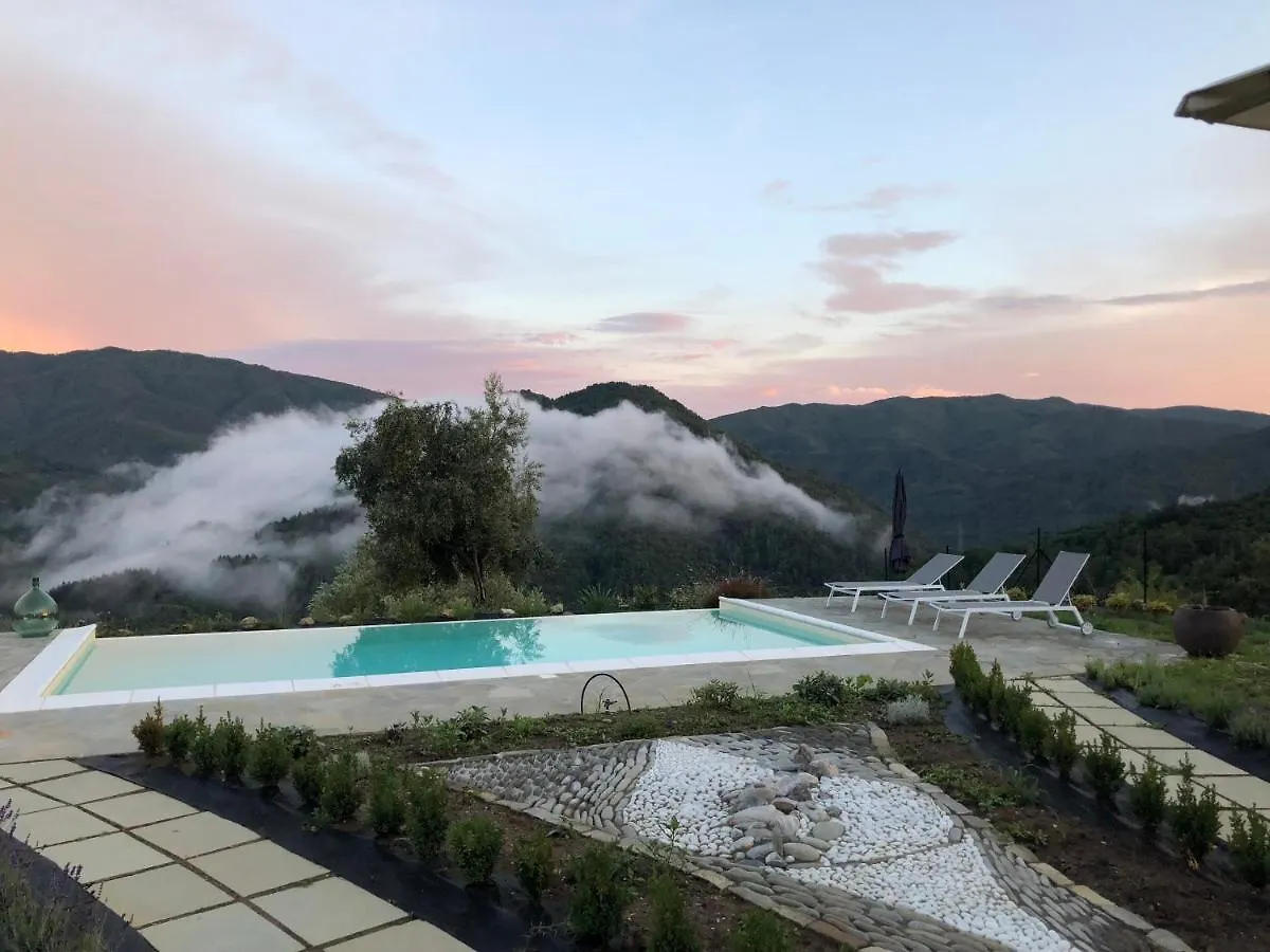 360 Views, Private Infinity Pool, Pisa, Lucca, Florence, Large Garden Casabasciana Italy