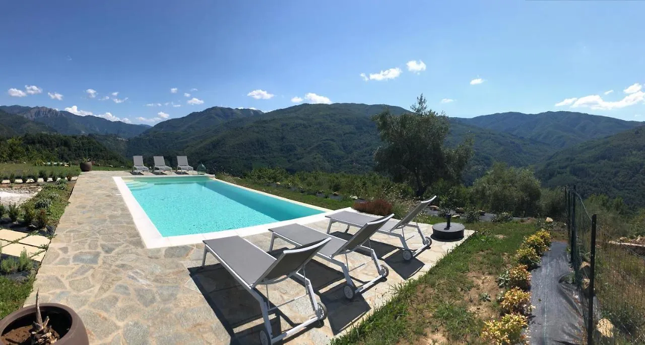 360 Views, Private Infinity Pool, Pisa, Lucca, Florence, Large Garden Casabasciana
