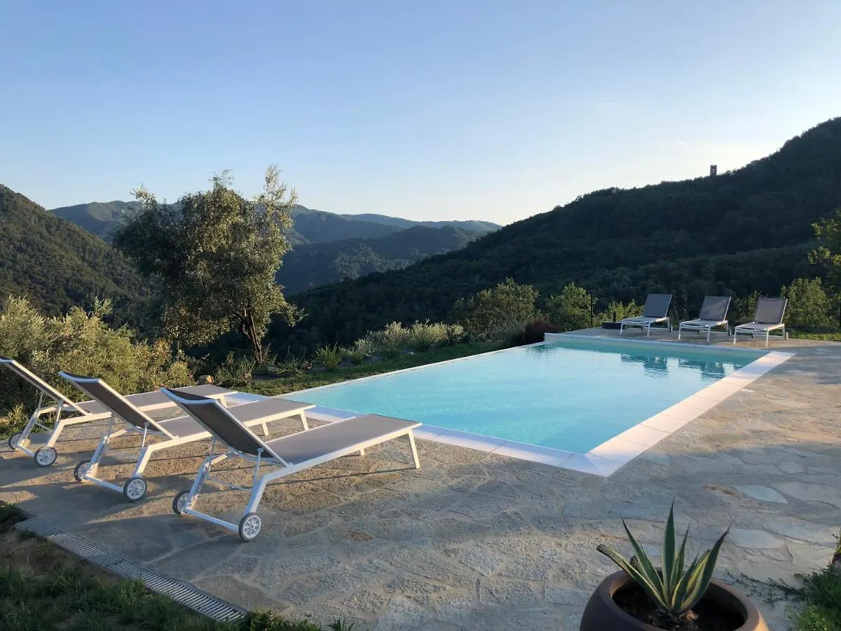 360 Views, Private Infinity Pool, Pisa, Lucca, Florence, Large Garden Casabasciana